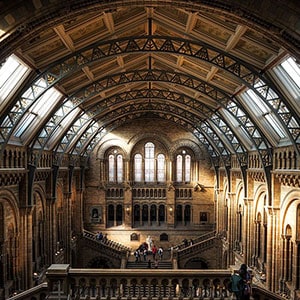 museum-300.jpg